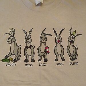 NOVELTY T-SHIRT